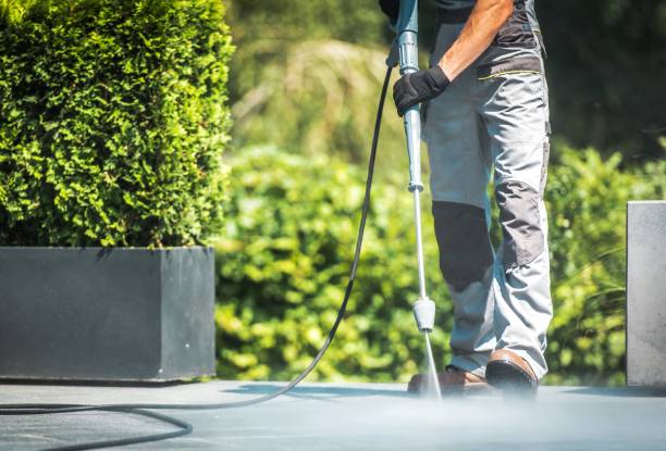 Best Gutter Cleaning and Brightening in Storm Lake, IA