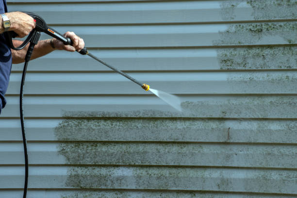 Best Window and Screen Pressure Cleaning in Storm Lake, IA